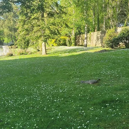 Magnifique 2 Pieces *