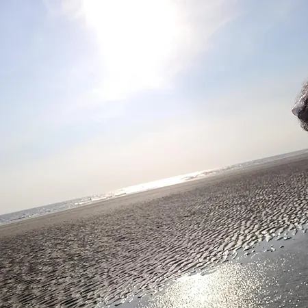 Apartment Magnifique 2 Pieces