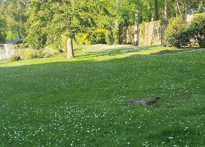 Magnifique 2 Pièces *