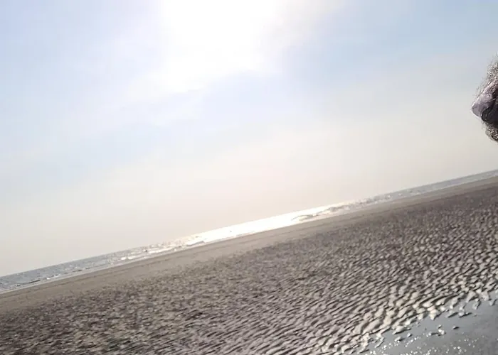 Apartamento Magnifique 2 Pieces